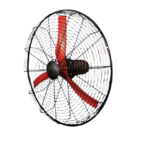 36 FAN for Air Circulation